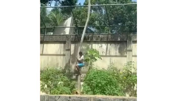 O que se sabe sobre o caso do homem morto por leoa após invadir recinto em zoológico de João Pessoa